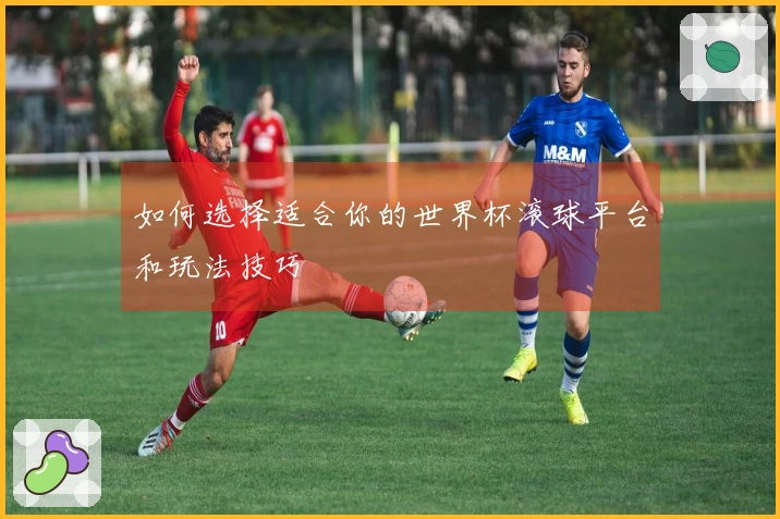如何选择适合你的世界杯滚球平台和玩法技巧