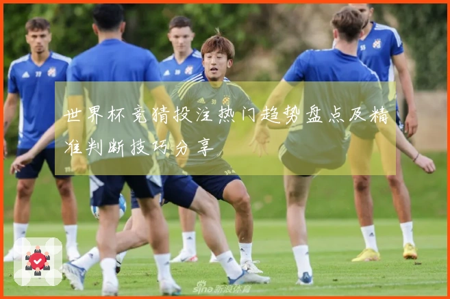 世界杯竞猜投注热门趋势盘点及精准判断技巧分享